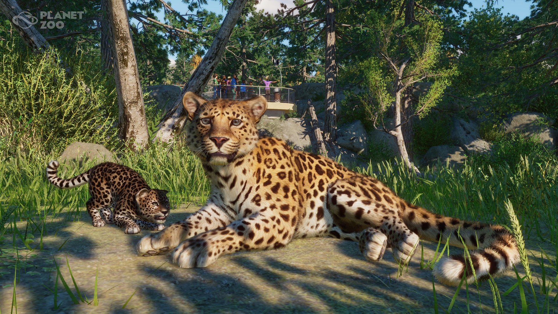 Planet Zoo on Twitter: "Today we're putting out enrichments for the