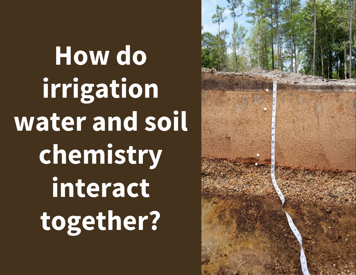Dig deep to learn about how irrigation water and soil chemistry interact together in Glen Obear’s GCSAA webinar. Register here: hubs.la/Q01dNx7H0 #soil #irrigation #soilchemistry #turfgrass #webinar