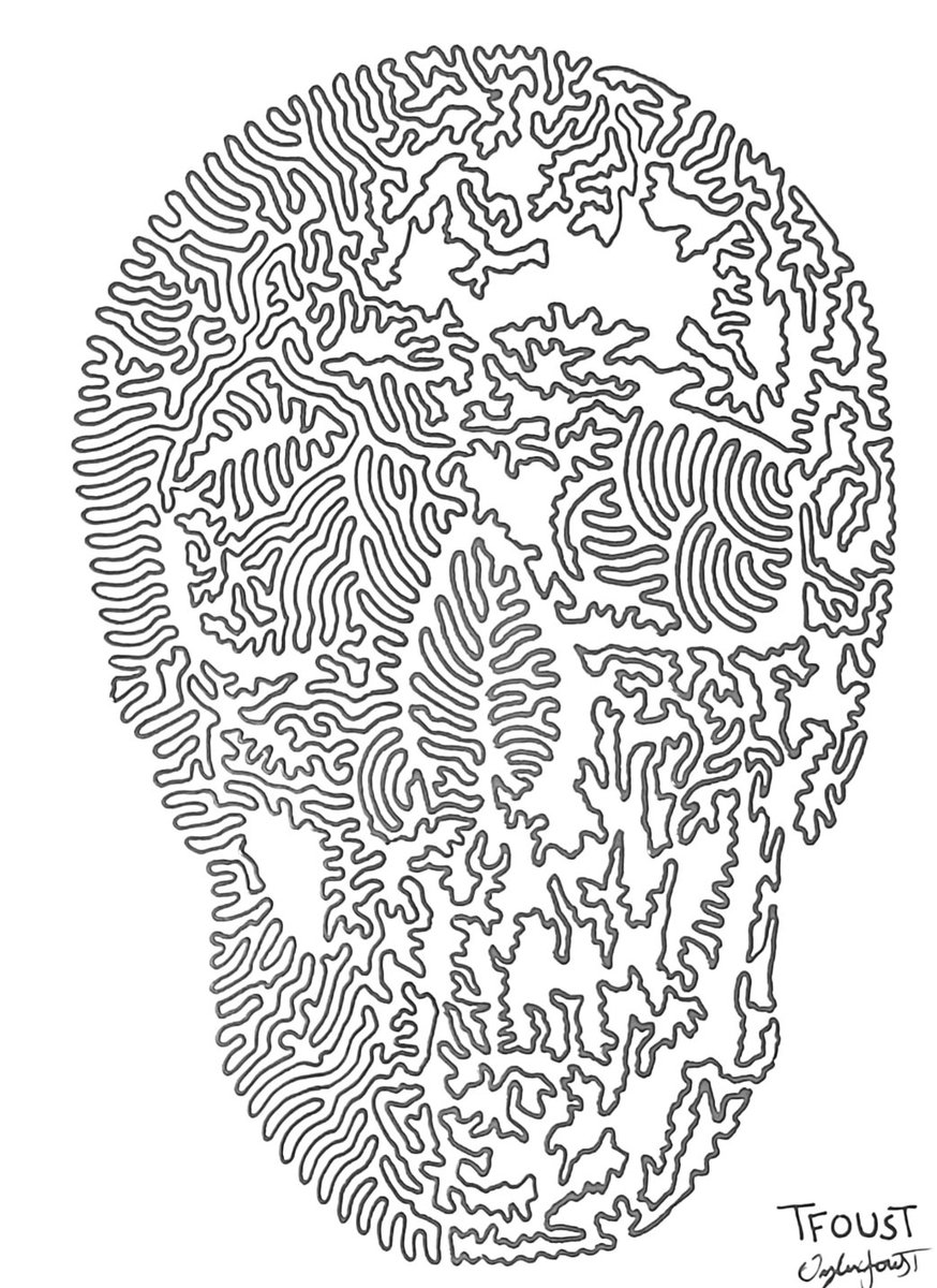 TylerFoust13's tweet photo. The other day I was sorting through art and realized I seem to draw a lot of single line Skulls. Add that to the random facts you will learn today.
#noodleportraits #tfoust #skull #NFTartistRegardless https://t.co/5rXpgq30oy