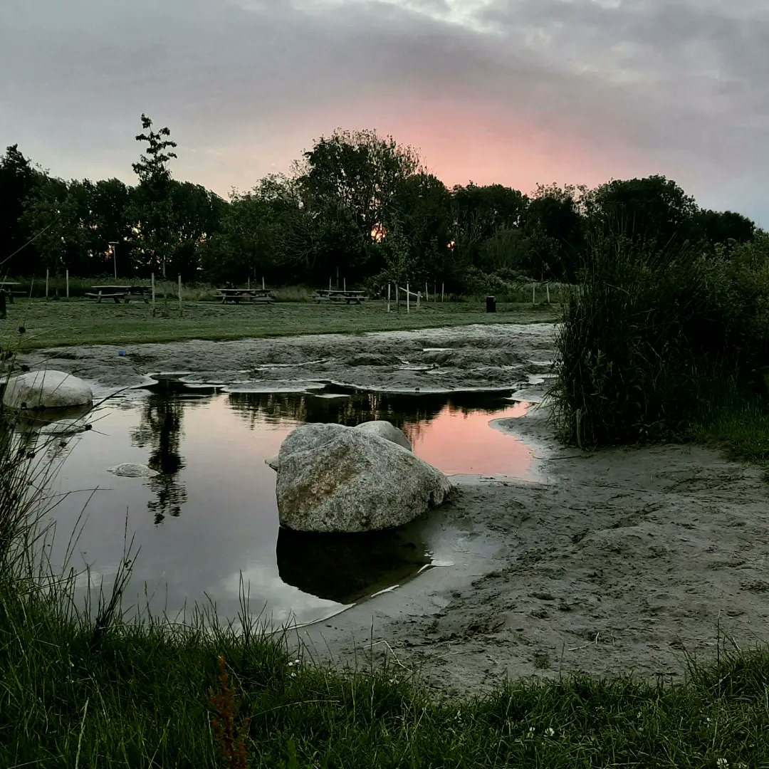Bureau_RIS's tweet photo. Natuurspeelplaats #ElDorado in het #GoudseHout begint qua beplanting redelijk volwassen te worden, mooi om te blijven volgen... #natuurlijkspelen #struinen #waterspel #verstoppen https://t.co/GZy0PIdQnd