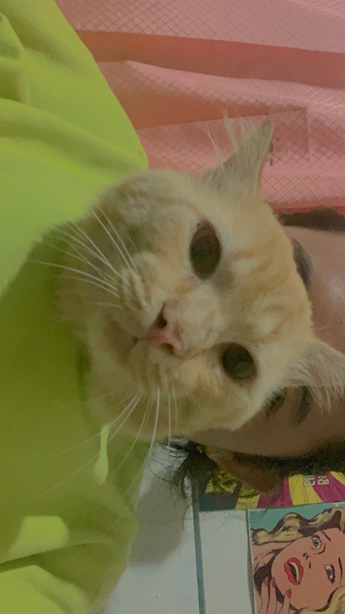 itsmexska's tweet photo. boni nampak senang punya babu kek aku. 😂 https://t.co/fzFsuoE7hK