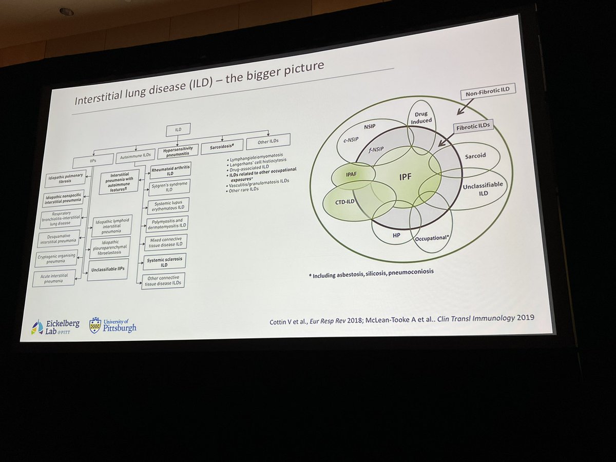 Qianjiang_Hu's tweet photo. Fantastic talk given by @Eickelberg_MD describes a novel view on combining genomic and proteomics to identify novel markers further mechanisms of pulmonary fibrosis! @KeystoneSymp #KSTissueRepair https://t.co/T4FAHjaRio