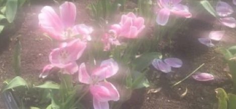 Hi guys im gonna be dead for 2-3 days cuz we going sumwhere so yea sorry for the people claiming their prize i hope u can clqim when im back!<3