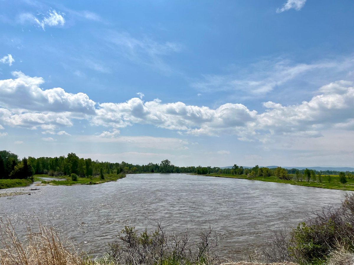 JasonKechely's tweet photo. The #JeffersonRiver with a full belly...Tuesday 06/14/22 near Three Forks. #MTSpring #MTFlooding https://t.co/7OuBDoyOpj