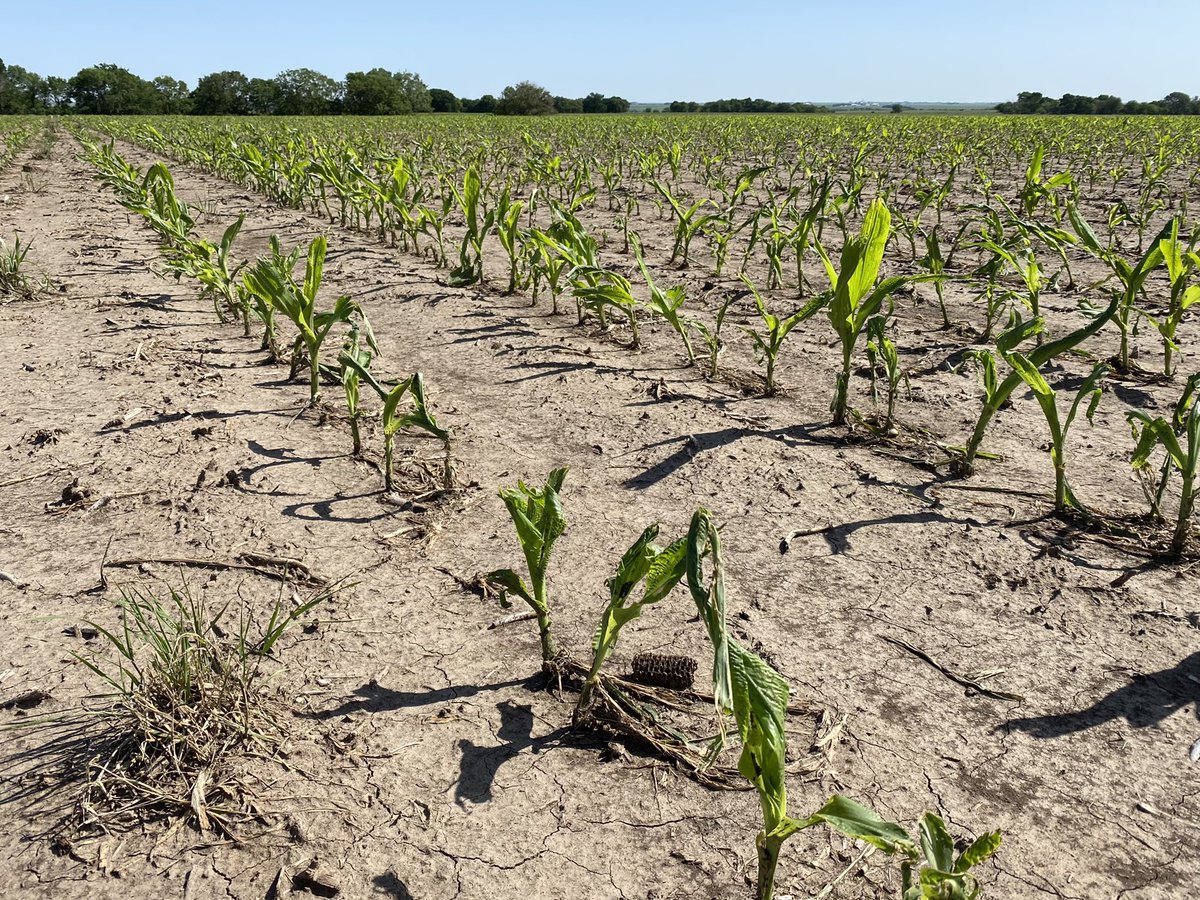 Gavin Kenney tweet media