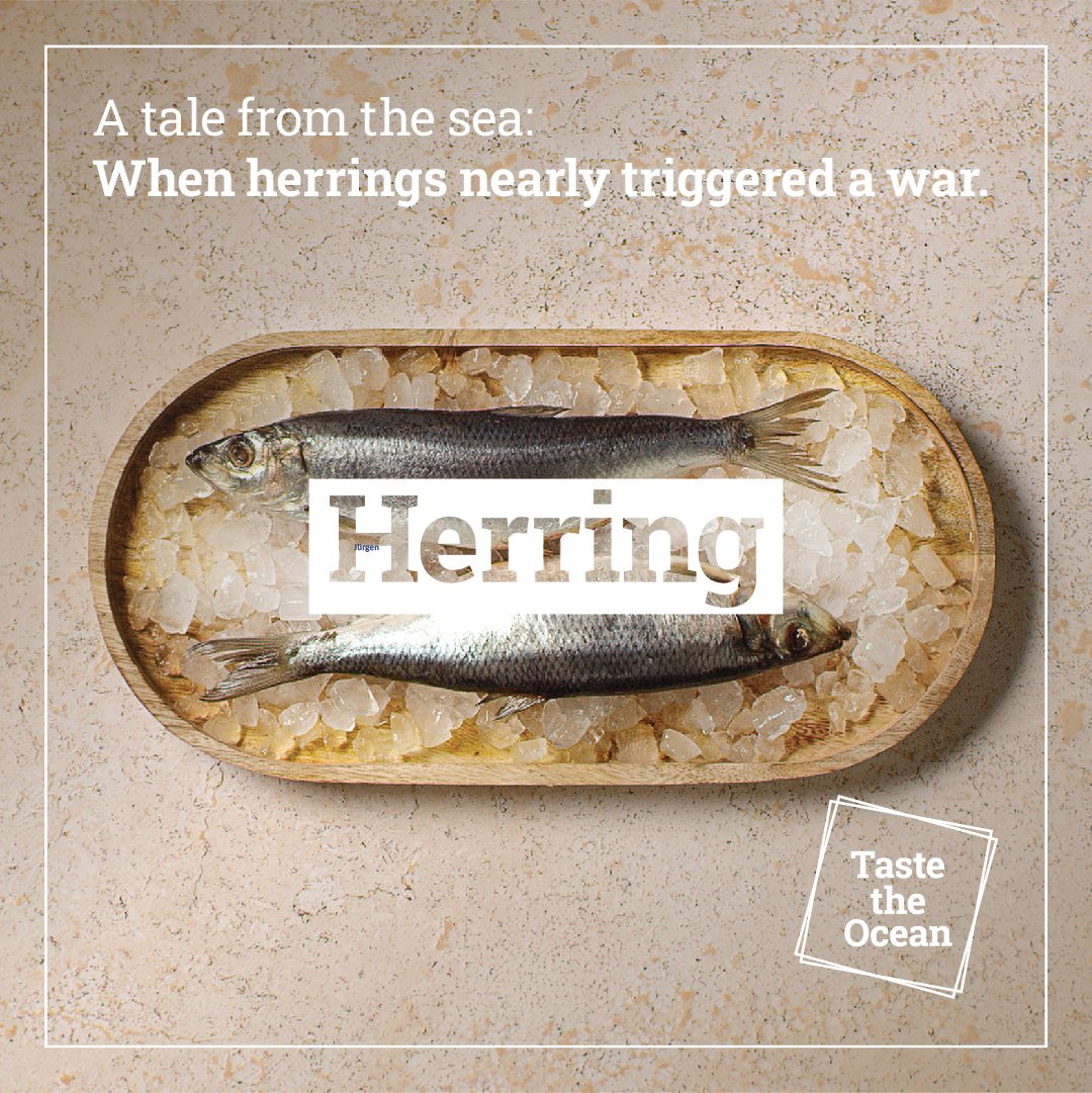 MarineInst's tweet image. Did you know that herring nearly triggered a war? Here’s a fishy fact that you can share with friends or family over your next sustainably sourced meal 🐟

#TasteTheOcean is an EU campaign that supports sustainable seafood and fish! 

Visit 👉 europa.eu/taste-the-ocean