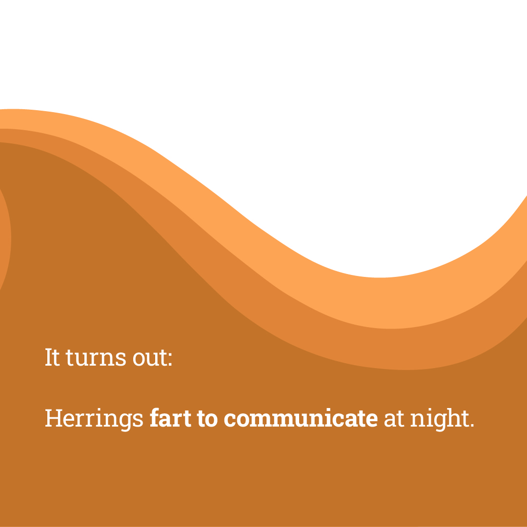 MarineInst's tweet image. Did you know that herring nearly triggered a war? Here’s a fishy fact that you can share with friends or family over your next sustainably sourced meal 🐟

#TasteTheOcean is an EU campaign that supports sustainable seafood and fish! 

Visit 👉 europa.eu/taste-the-ocean