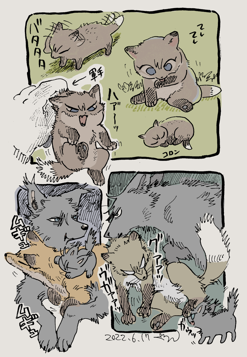 🐺🦊🐶 