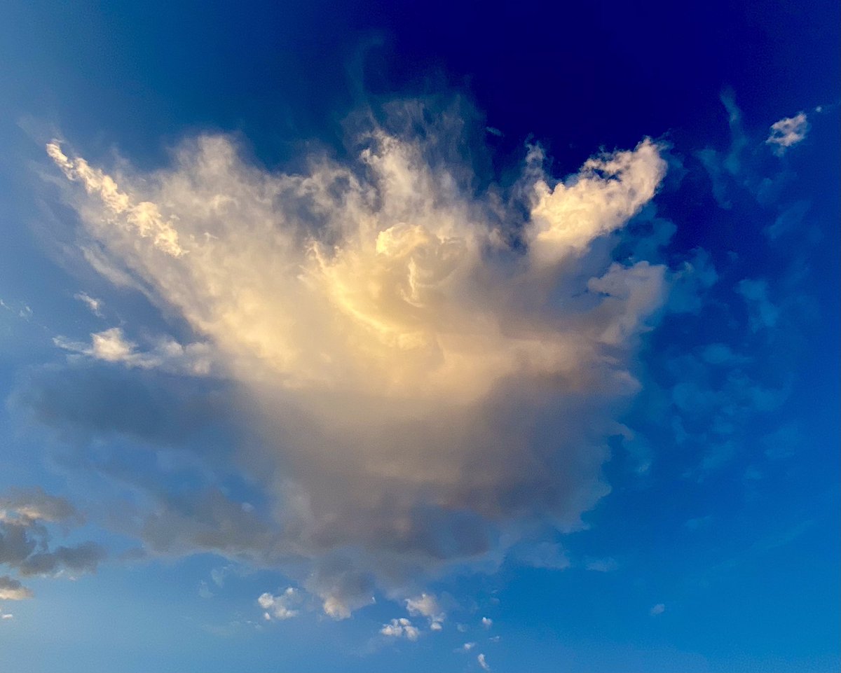 AdLibs4Hire's tweet image. Cloud alert🤓: Minding my own business, and this soldier, 180 degrees, directly overhead, decided a brief shower was in order. @NWSWilmingtonNC @medwick @TVsGabeRoss @helenholt123 @wralweather @WRALAimee @mazewx66 @katcampbellwx @wralbleslie #CloudNerd