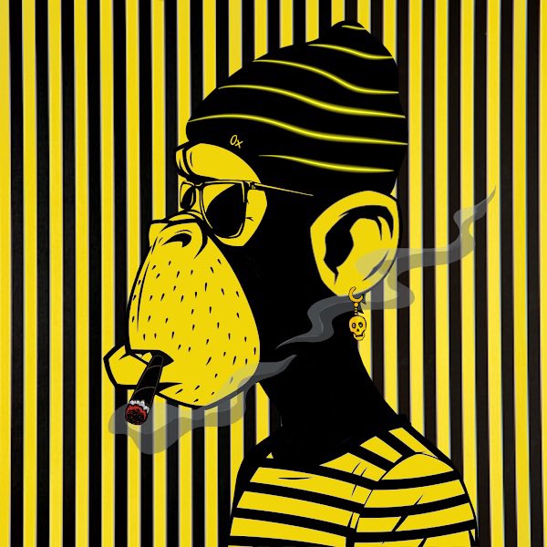 Tommy_Zoo (🍊,💊) (🐈‍⬛, 🛵) tweet media