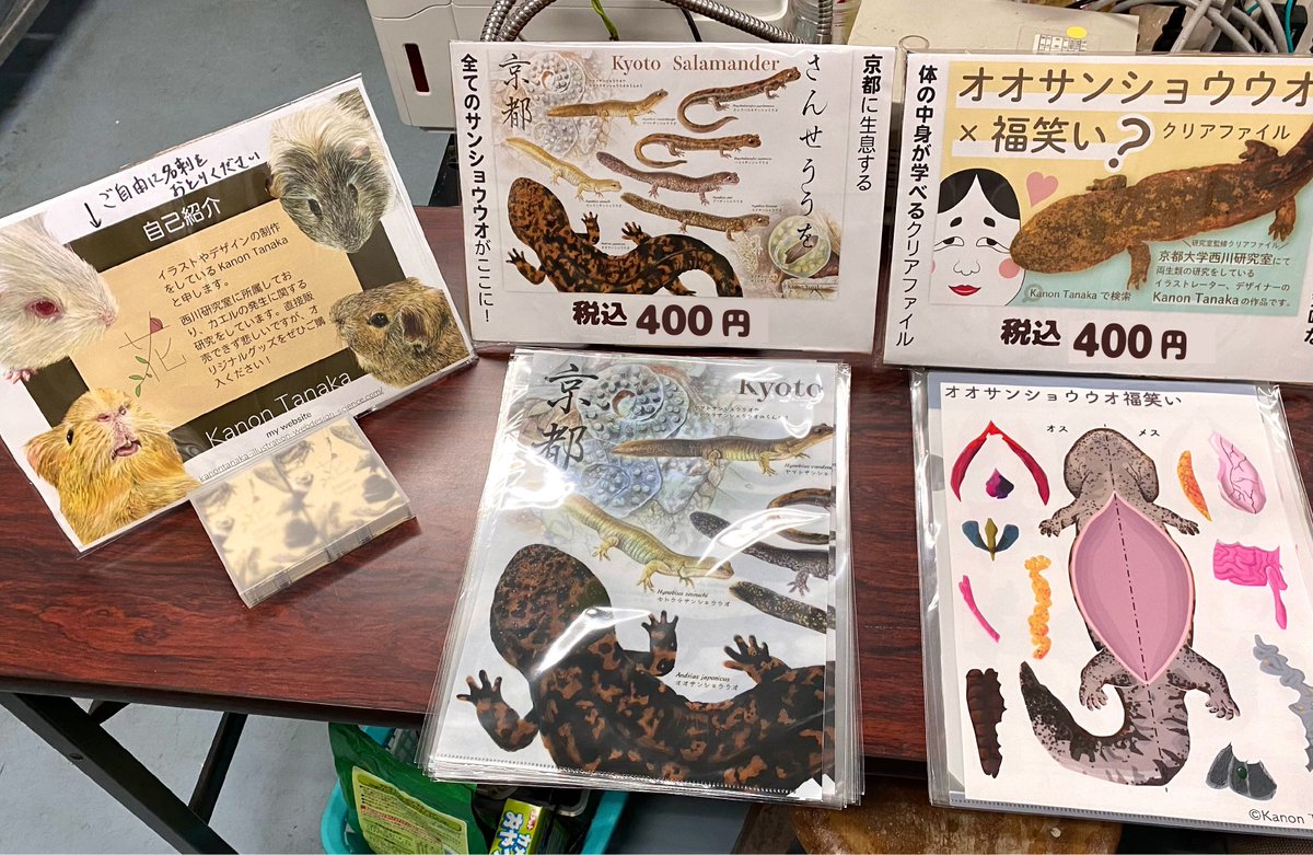 Kanon Tanaka Canon Ofuton Twitter