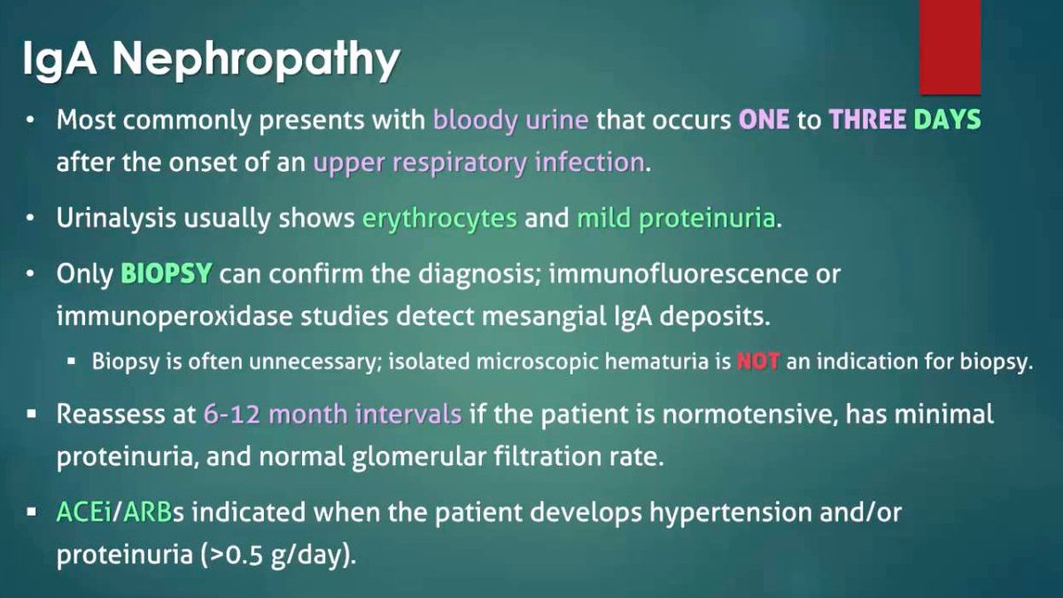 IgA nephropathy /Berger disease: glomerulonephritis w/ episodic hematuria and deposition of IgA in mesangium. IgA nephropathy is MC form of glomerulonephritis in adults
