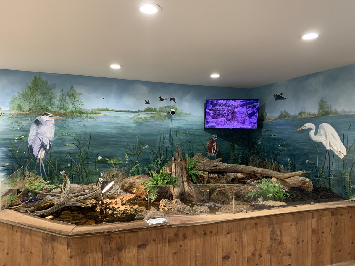 LEINWC2's tweet photo. Check out our first blog post for insights on our new mural painted by local artist Janet Stearns! 
https://t.co/bLsQMiRnaR https://t.co/yoCYuXV6JT
