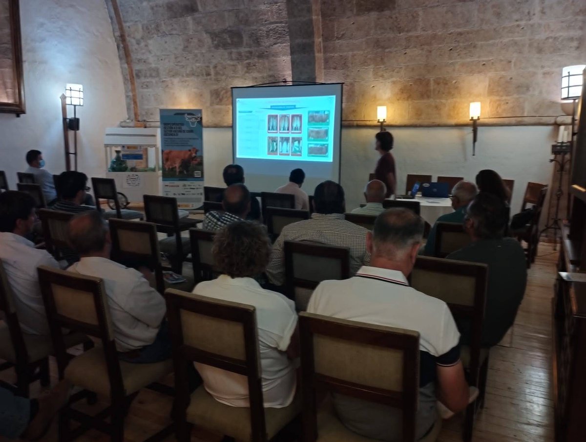 ITACYL's tweet photo. Hoy hemos celebrado en Ciudad Rodrigo la jornada @gesvac  tecnología living lab al servicio de la ganadería, que ha servido para exponer a los profesionales del sector el trabajo realizado en el marco de este proyecto innovador y sus perspectivas de futuro.
#ITACyL #Vacuno https://t.co/gVNc7sVGNf