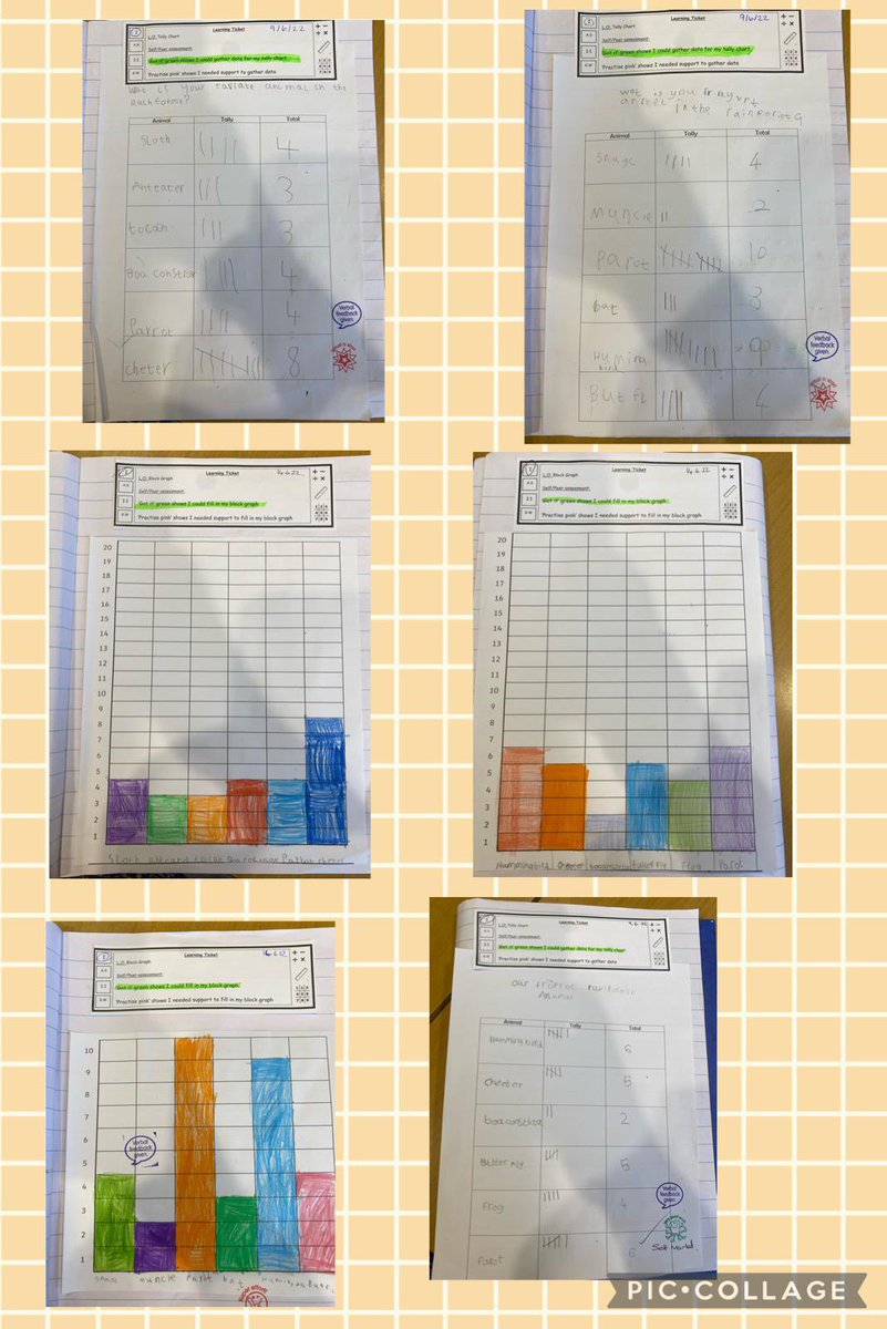 YsgolBrynCollen's tweet photo. Dosbarth Brenig and Tegid have been data collecting this week, finding out everyone’s favourite rainforest animal and creating a block graph #numeracy #tallychart 🐍🦥🐒🤯 https://t.co/29q5bte3Mj