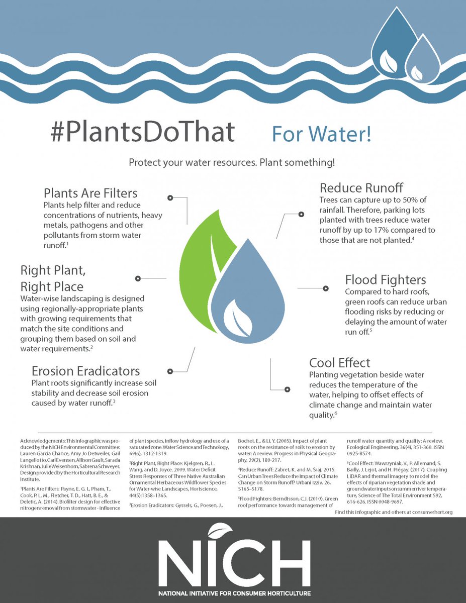 Better_Seed's tweet photo. Plants are great for protecting our water! #DYK? Plants help filter and reduce concentrations of nutrients, heavy metals, pathogens and other pollutants from storm water runoff. #JustGrowIt #PlantsDoThat https://t.co/2Ml8oBEey7
