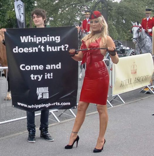 Filly4animals tweet media