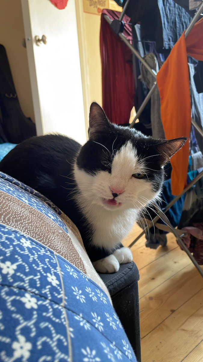 colinhubbard's tweet photo. Lovely little shoot with @danieljohnsonuk &amp; @VanessaMOwen today! 

Nearly forgot all my lines on the first read 😂 happens to everyone right? Right??? 

Don’t worry they all came back. I think…What we did forget is to get photos!!! Oh well, here’s a picture of my cat. https://t.co/xFzKoKfian