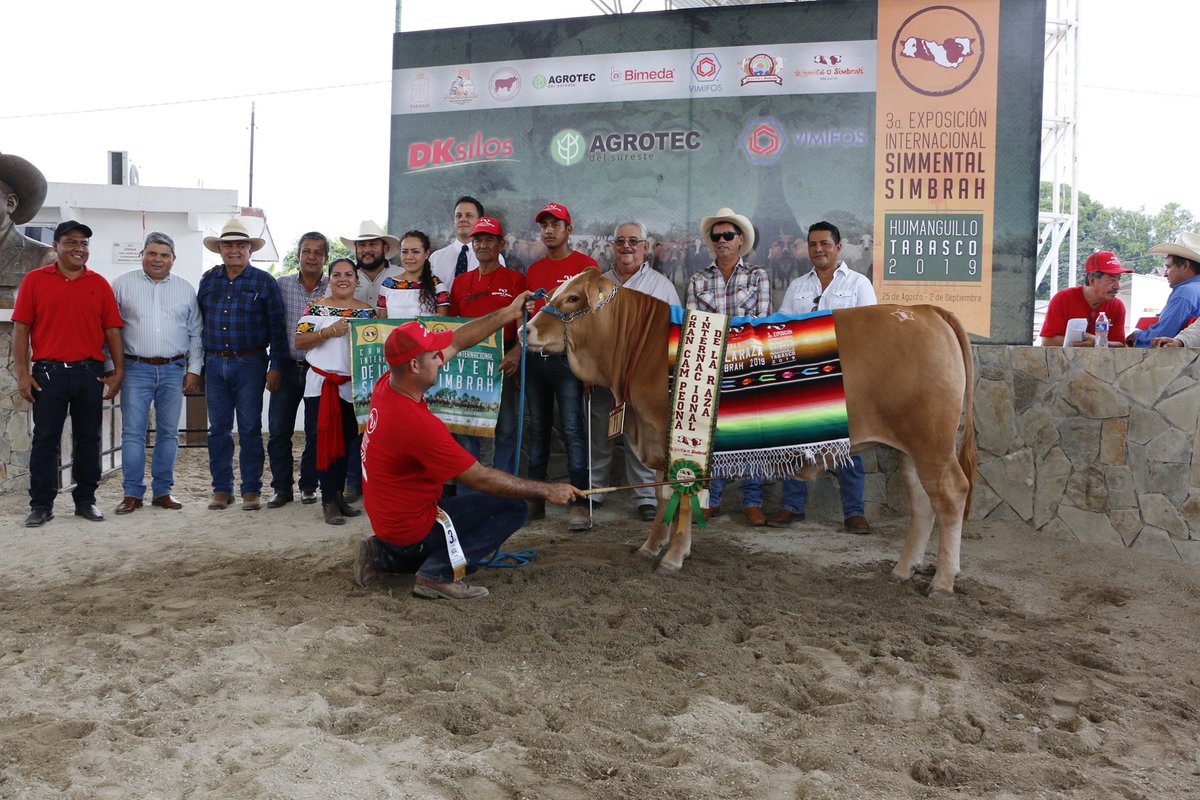 SimmentalSbMX's tweet photo. #TBT #HistoriaSimmental
A propósito de la próxima 4a. Exposición Internacional en #Huimanguillo #Tabasco 2022, les compartimos fotos de la 3a. Exposición Internacional #Simmental #Simbrah realizada en 2019. https://t.co/l37wF6zUYG