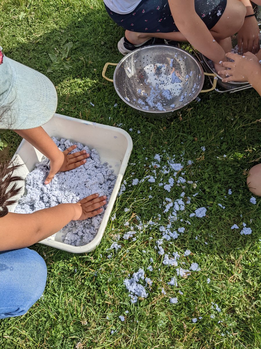 thekylekitchen's tweet photo. Final part of the Bee Survival Builds. Making native flower seed bombs on a blustery humid day. So proud of my Eco-Scientists. @dsbn @GrapeviewSchool @NPCA_Ontario #STEM #Recycle #savethebees 🐝🌻🪷 https://t.co/DtSL149aDL