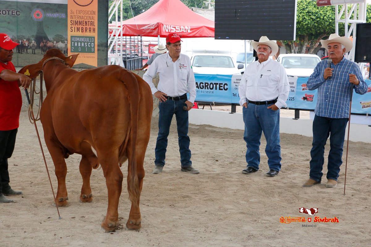 SimmentalSbMX's tweet photo. #TBT #HistoriaSimmental
A propósito de la próxima 4a. Exposición Internacional en #Huimanguillo #Tabasco 2022, les compartimos fotos de la 3a. Exposición Internacional #Simmental #Simbrah realizada en 2019. https://t.co/l37wF6zUYG