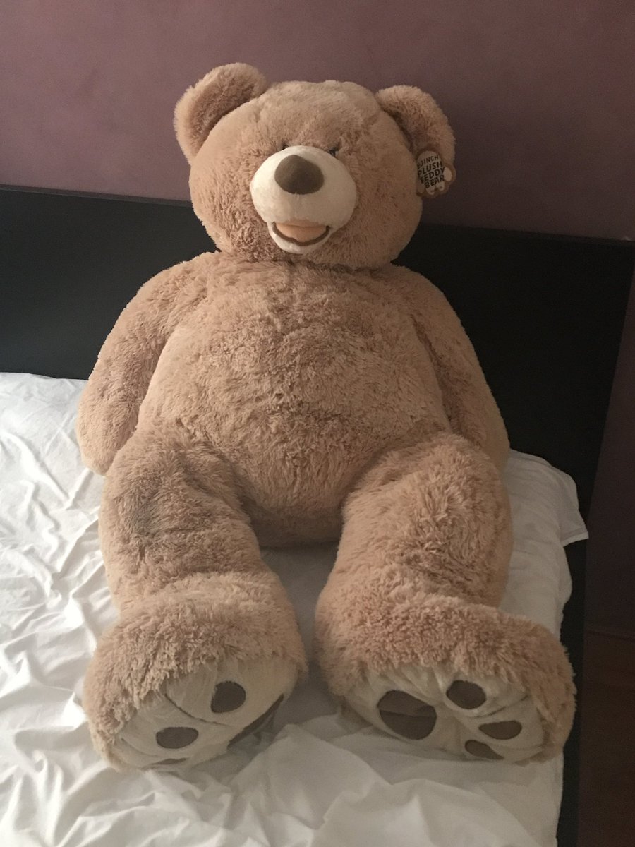 PlushLoverAU's tweet photo. I finally got a big 53 inches (134cm) Hugfun teddy bear from Costco after so many years. What should I name it?
#plush #plushie #stuffedanimal #teddybear #giantteddy #giantteddybear #teddy #bigteddybear #bigplush #costcoteddy #costcobear #hugfunbear #costco #hugfun #53inchbear https://t.co/HY7rmUcSbU