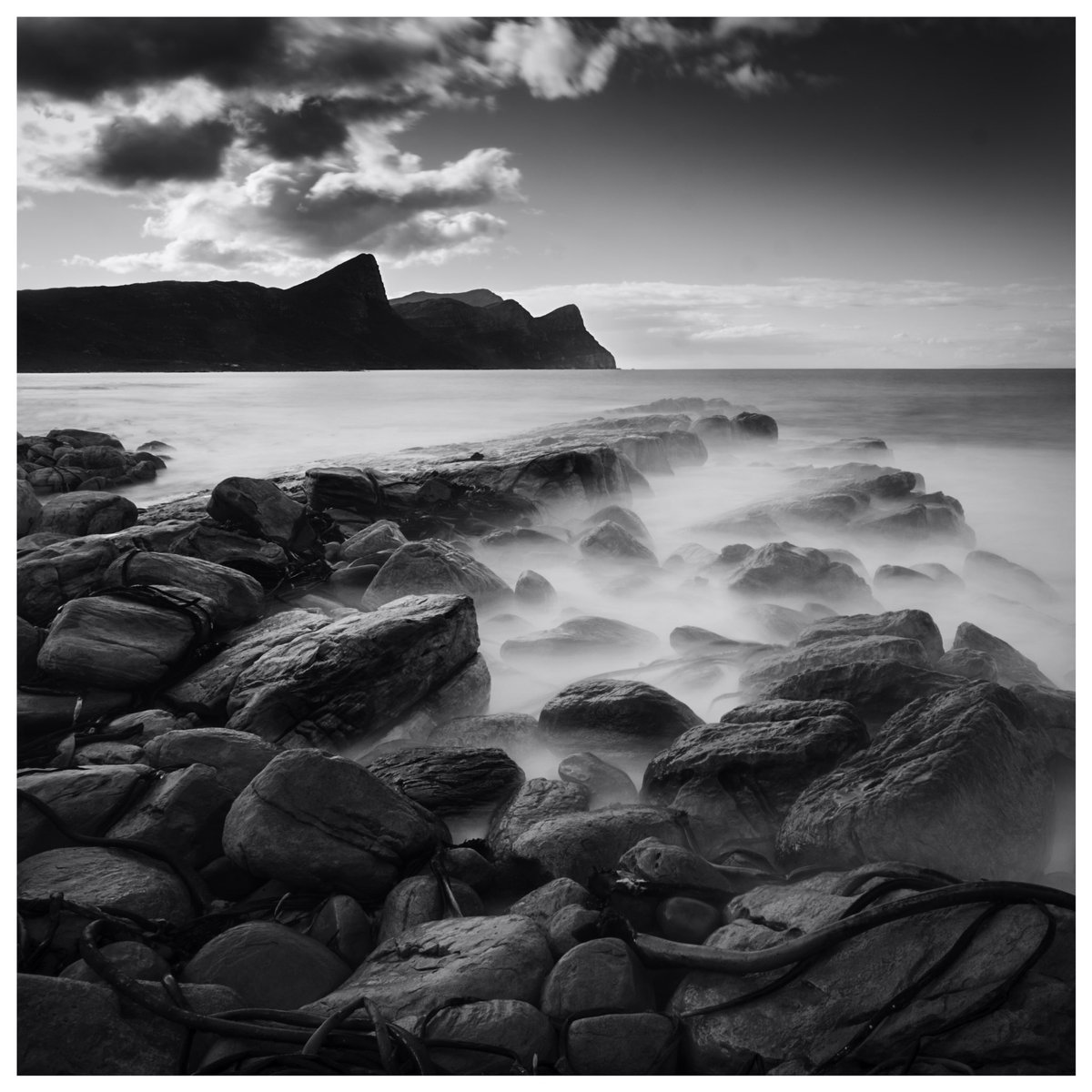 Nick Brandt tweet media