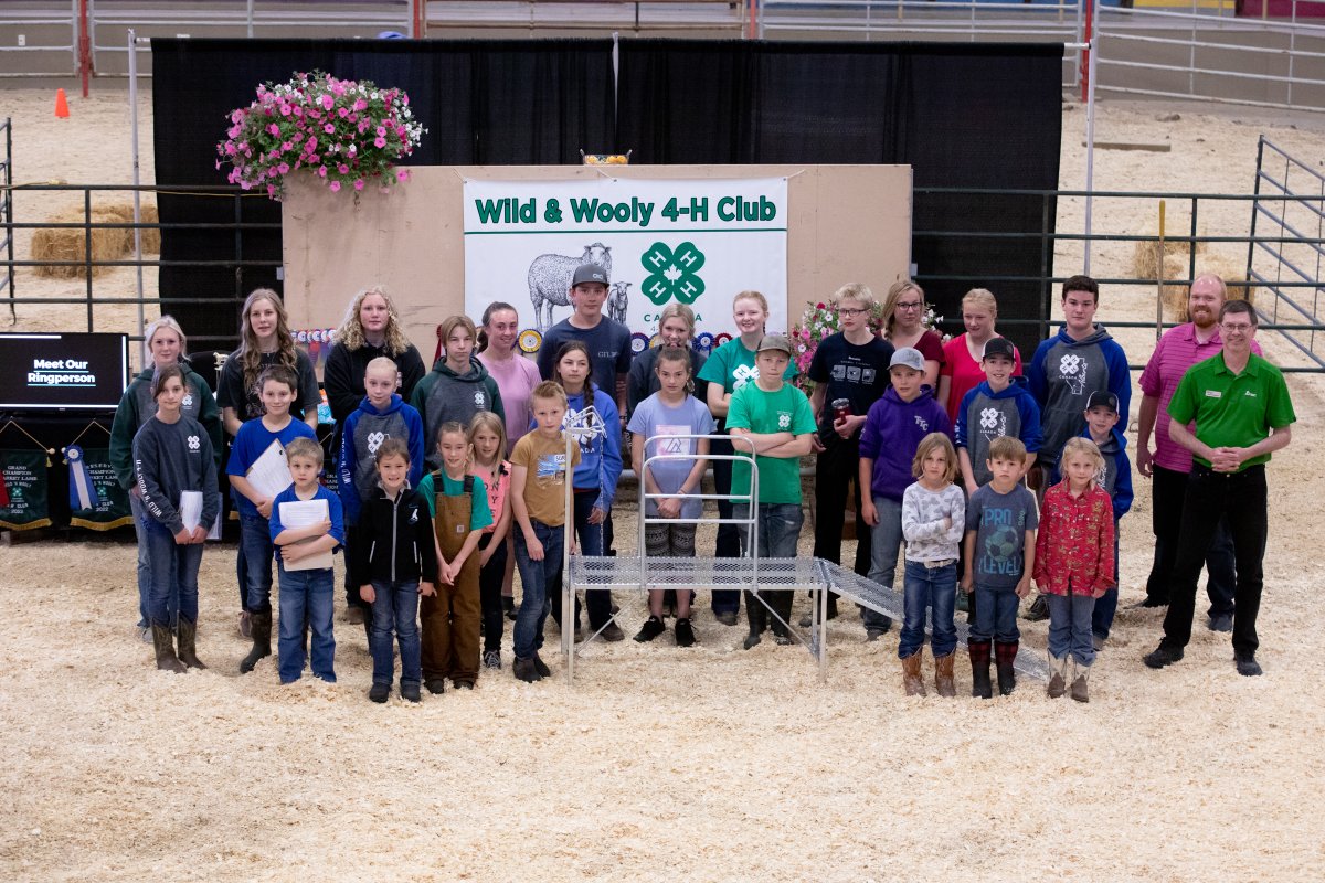 AFSC_AB's tweet photo. Things were wild and wooly last week in Lethbridge with the Wild and Wooly 4-H event! Funds from the AFSC 4-H Alberta Grassroots Fund helped purchase the sheep stand for sheering/clipping. We love supporting the next generation of agriculture! #AFSCcommunity https://t.co/sakic98kuK