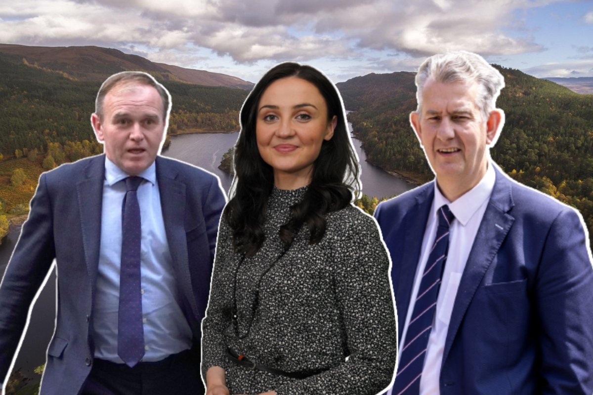 Forestry Journal tweet media