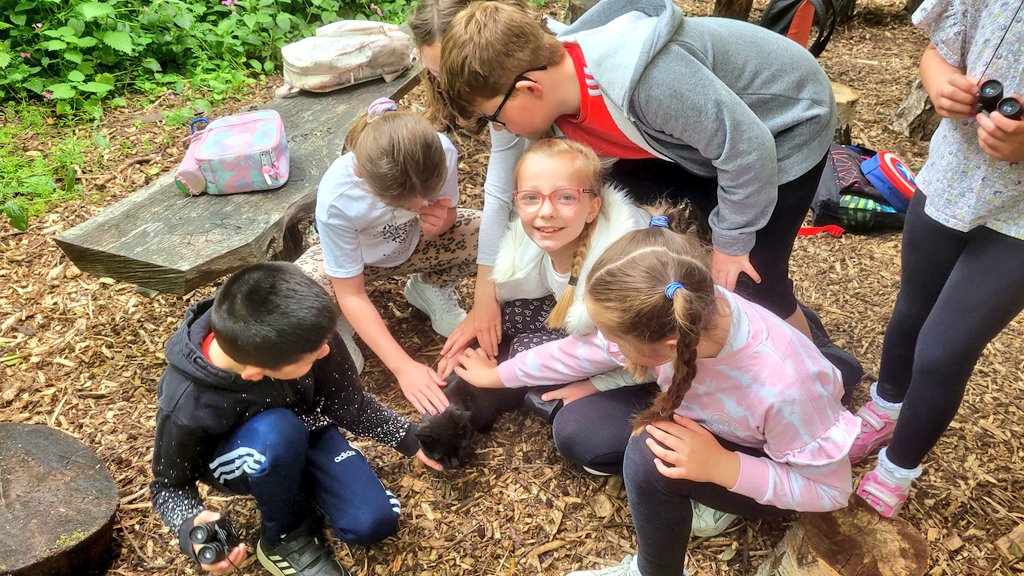 Mrs Tulloch (@mrstcaterpillar) on Twitter photo We loved having our snack in the outdoor classroom. We even met a very friendly cat! π @JupiterWildlife <a href="/MorayPS/">Moray Primary School</a> <a href="/LADICKSON76/">P2/1 D Moray Primary</a> We loved having our snack in the outdoor classroom. We even met a very friendly cat! π @JupiterWildlife <a href="/MorayPS/">Moray Primary School</a> <a href="/LADICKSON76/">P2/1 D Moray Primary</a>