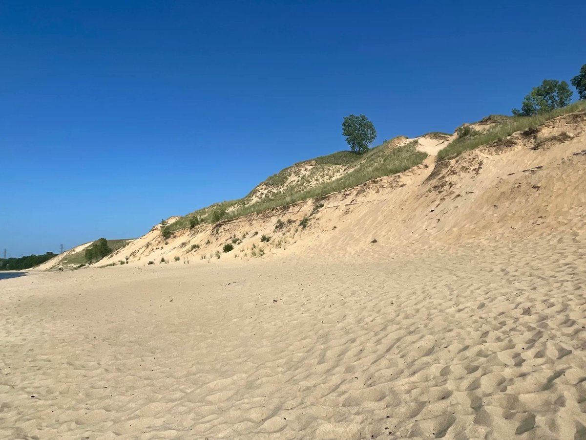 aspenfoxtracks's tweet photo. Indiana Dunes NP, Mt Baldy &amp; wildflowers. A park I was at about 10 years ago but was a great revisit.

 #indiana #roadtrip #Questfor423 #nationalpark #outdoors #optoutside #getoutside #travel #indianadunes #aspenstracks #wanderlust #parkchat @IndianaDunesNPS #nps #FindYourPark https://t.co/0FWwt3Ah3l