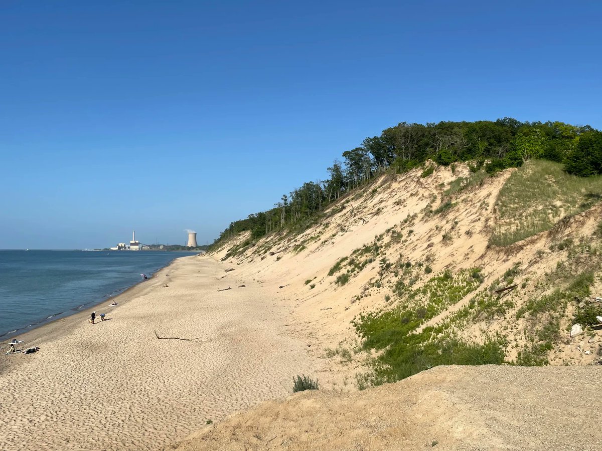 aspenfoxtracks's tweet photo. Indiana Dunes NP, Mt Baldy &amp; wildflowers. A park I was at about 10 years ago but was a great revisit.

 #indiana #roadtrip #Questfor423 #nationalpark #outdoors #optoutside #getoutside #travel #indianadunes #aspenstracks #wanderlust #parkchat @IndianaDunesNPS #nps #FindYourPark https://t.co/0FWwt3Ah3l