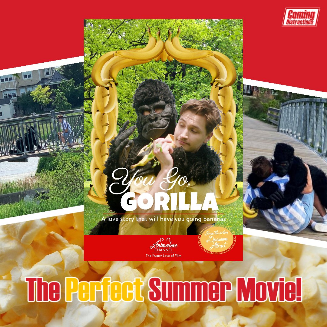 comingdistract's tweet photo. Come see You Go, Gorilla at your local theatre, Cinema 6 🍿 With a twist on your everyday romance, this is the PERFECT summer movie! ☀️

Watch Coming Distractions for FREE on @ZUZUVOD's Youtube channel 🎉
#comingdistractions #yougogorilla https://t.co/I0wpb6ySNu