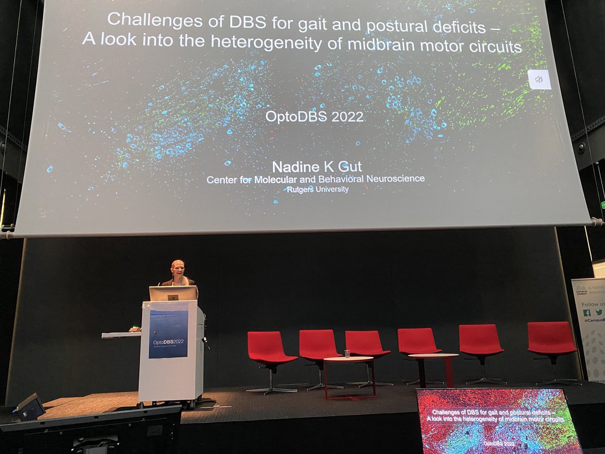 andreashorn_'s tweet image. Last talk for the day by Nadine Gut on PPN and gait modulation #optoDBS2022