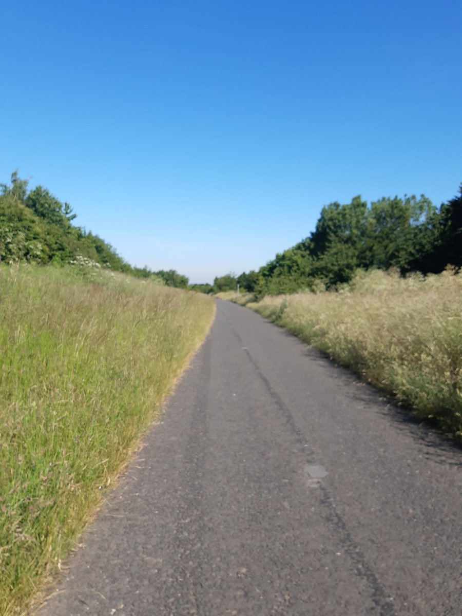 Beth Wright tweet media