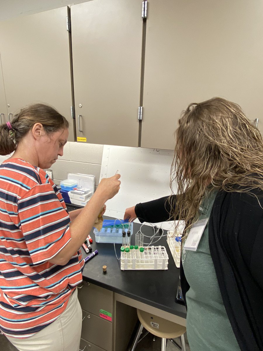 sciencerhodes's tweet photo. JAMES is leading us through the ethanol making process - measuring co2 output to determine how much ethanol is made. Videos below. #seed2stem
Testing diff variables to maximize ethanol production. Our variable is different types of yeast. Others are looking at enzymes and temps. https://t.co/AfQeEcBrTg