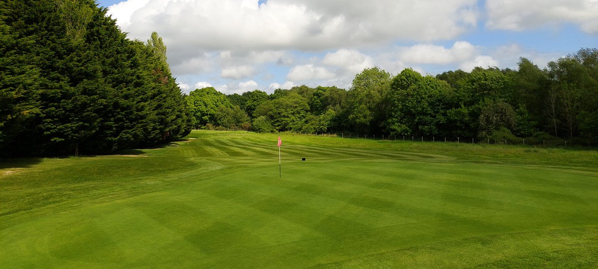 KeepingGreens88's tweet photo. Another productive week @BulburyWoodsGC drainage on the 13th done @SheltonDrainage, greens sprayed @AgrovistaAMNTY and still had time to get the course into great shape for the weekend! https://t.co/VsVVTgYKy6