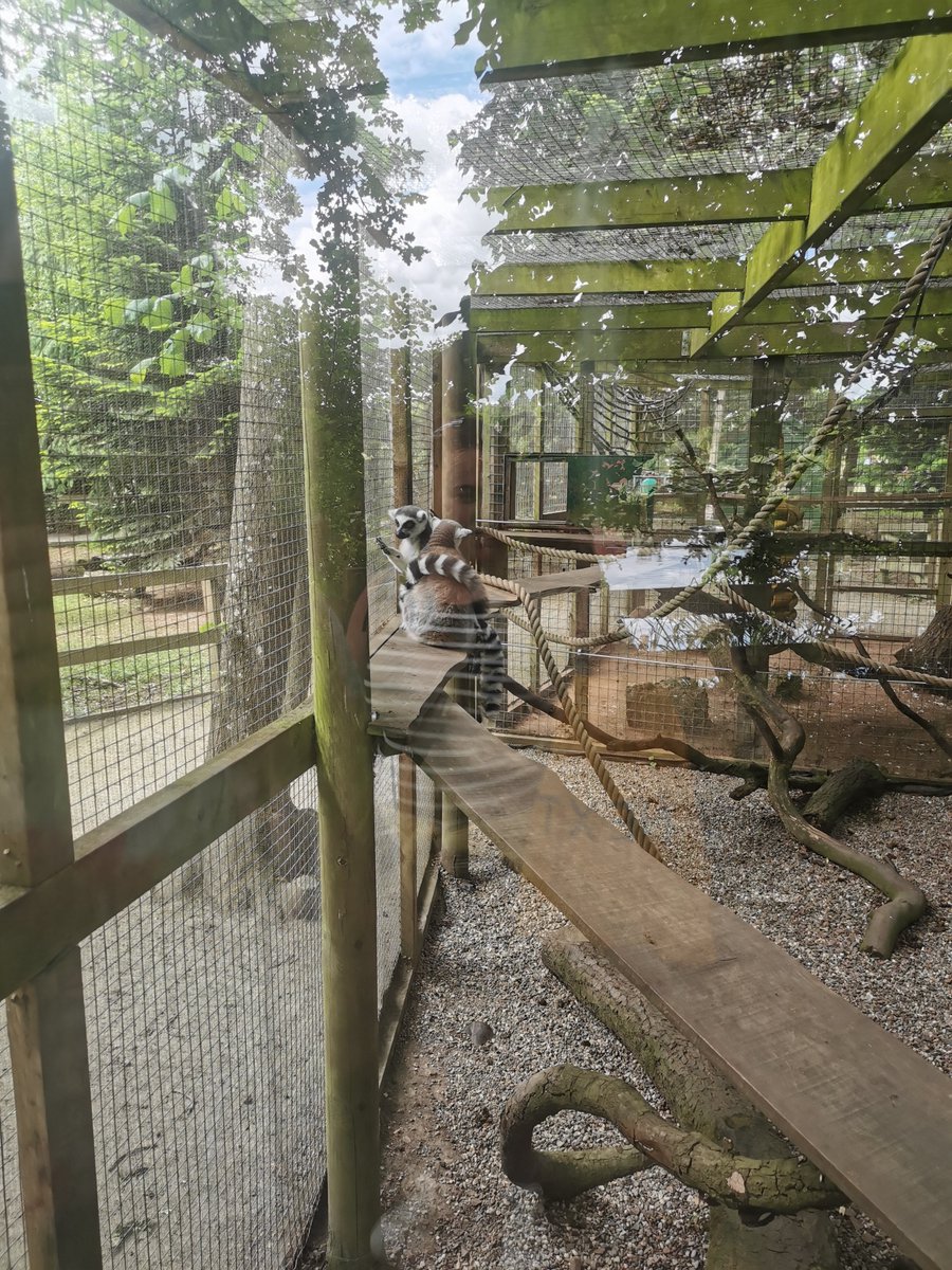 We were extremely excited to see the different animals and learn a bit more about them! 🦏🐘🦒🐪🐒🐃