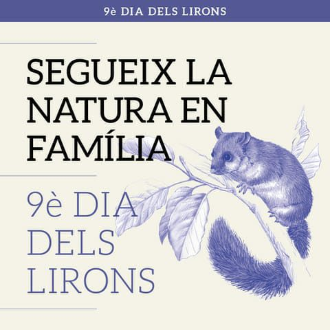 ProjecteLiro's tweet photo. DIES DELS LIRONS
Durant l’estiu i tardor del 2021 es varen realitzat 5 Dies dels Lirons #ValAran #CaldesdeBoí #Bagà i dos a #SantCeloni. Jornades familiars per descobrir qui és el liró gris 🐭com l'estudiem 🧐📋 https://t.co/yrG5hTpOQE