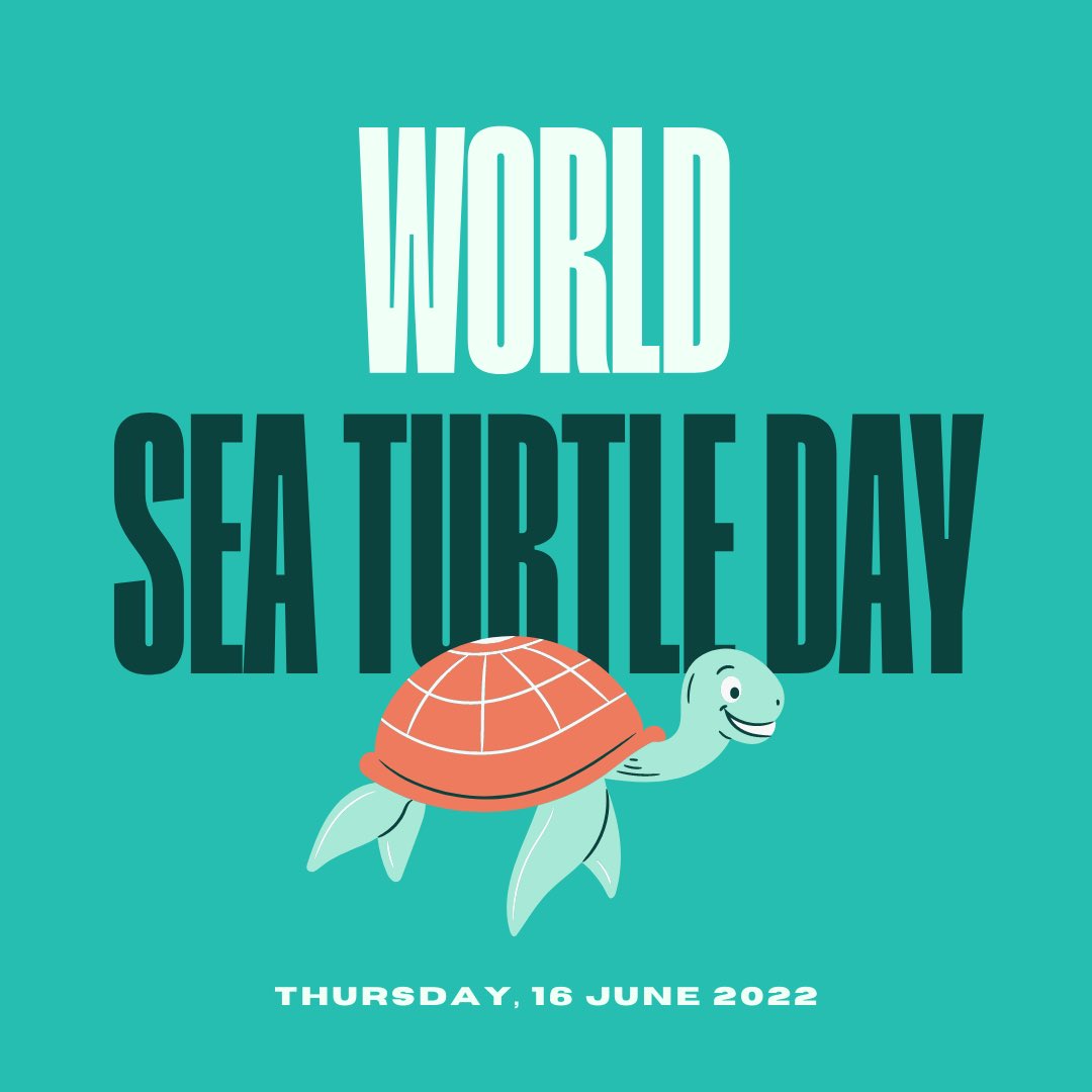 Jennifer Henry Horowitz tweet media