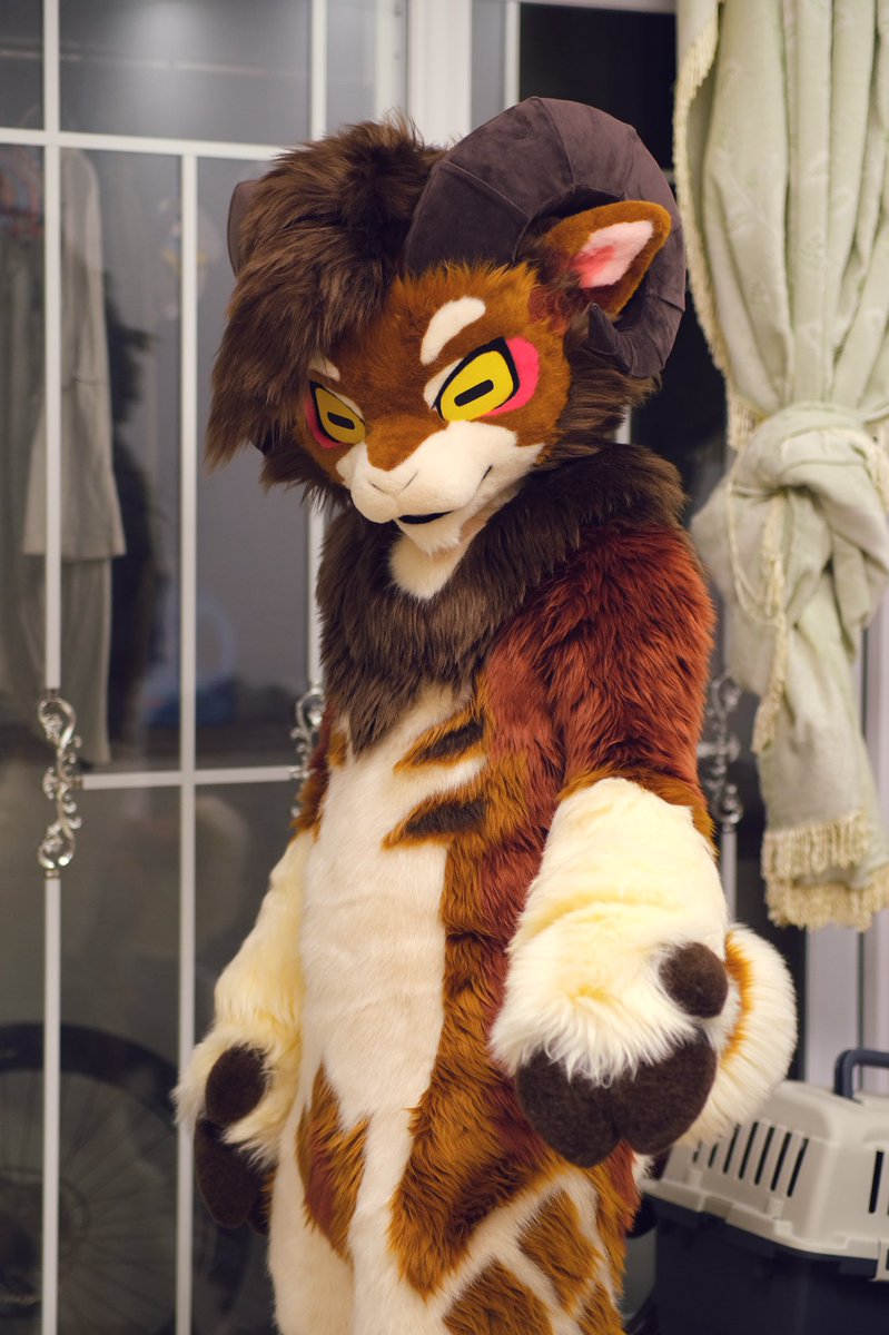 咩～叫我糖卷就好了，初次见面，请多指教～

装师：<a href="/LaoyeFurward/">老夜毛闷太</a> 
 #FursuitFriday #fursuit