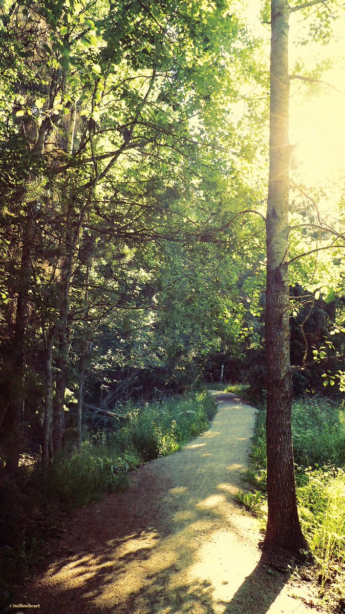 iwillowheart's tweet image. Shadowy path
#naturephotography #naturepath #forest #trees 
You might need to click the image to view in full size