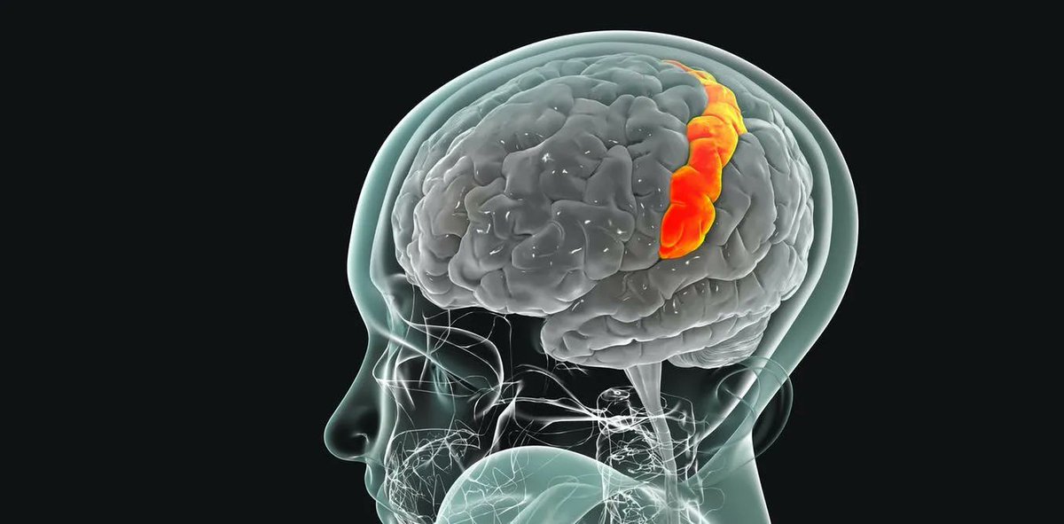 How mindfulness and dance can stimulate a part of the brain that can improve mental health buff.ly/39sMHWO