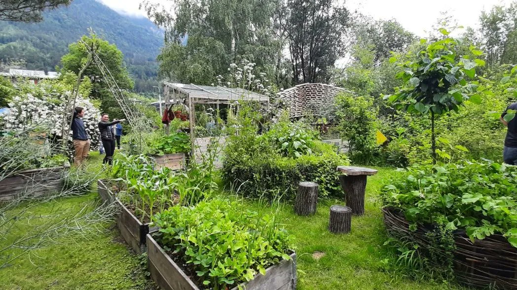 gutes_essen_'s tweet photo. Vor kurzem war ein Teil unseres Teams im Schulgarten der Uni Innsbruck. Dieser wird von den Studierenden als Lern- und Forschungsprojekt genutzt. 🌲

#uniinnsbruck #Garten #Lernen #Pflanzen #Kräuter #ourfoodourfuture #DEARprogramme https://t.co/jF7190RAJq