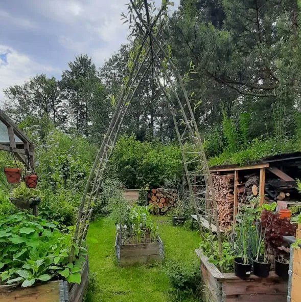 gutes_essen_'s tweet photo. Vor kurzem war ein Teil unseres Teams im Schulgarten der Uni Innsbruck. Dieser wird von den Studierenden als Lern- und Forschungsprojekt genutzt. 🌲

#uniinnsbruck #Garten #Lernen #Pflanzen #Kräuter #ourfoodourfuture #DEARprogramme https://t.co/jF7190RAJq