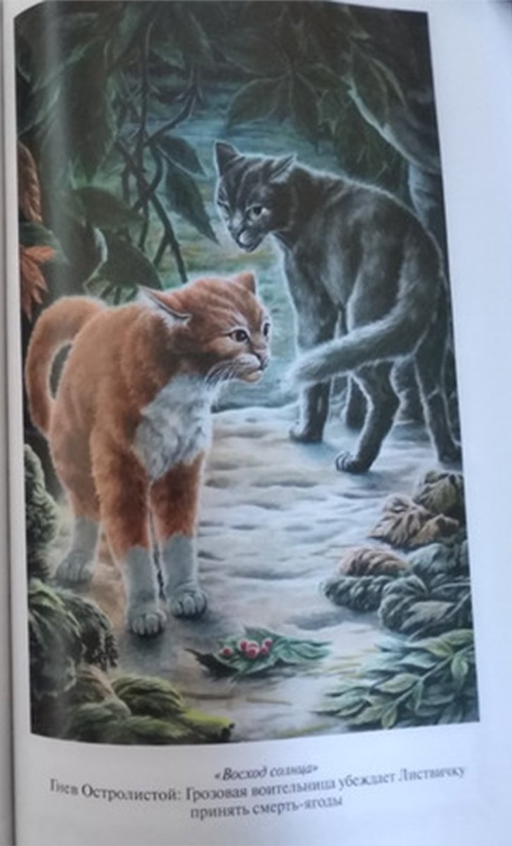 Some Russian Gold Collection illustrations from Long Shadows / Sunrise have been added!

Some very recognizable scenes here