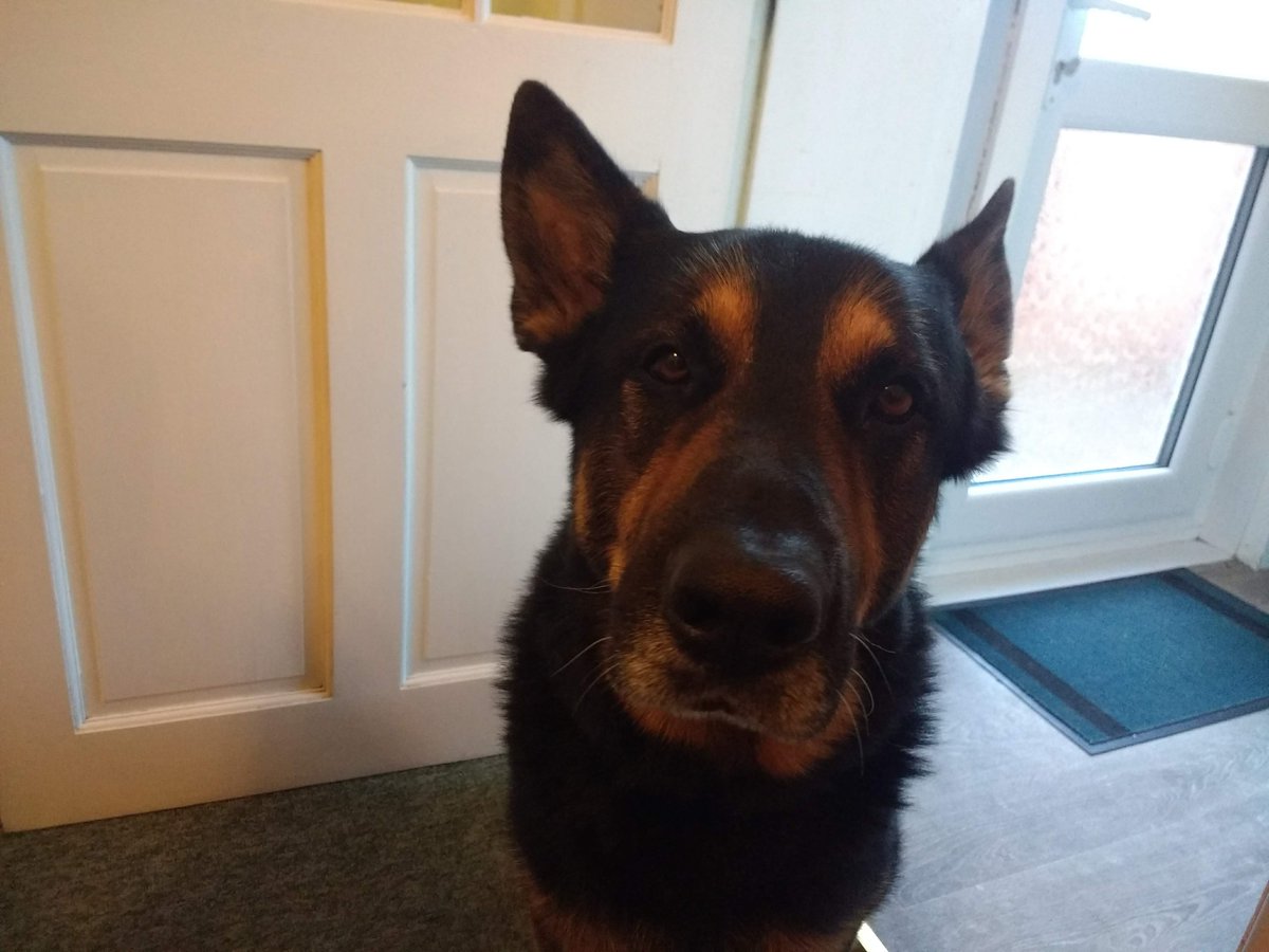 dave_harfield tweet media