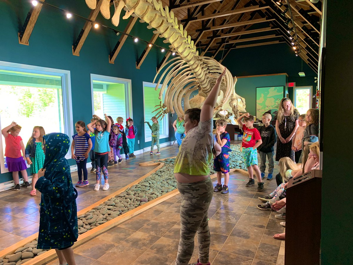 MsOickle's tweet photo. When you have a “dinosaur” in your backyard you have to take advantage! #whaleofatime @NLESDCA @bpprimary https://t.co/7bmABlrqSM