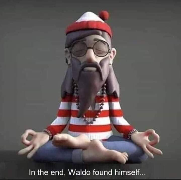 lost tweet media