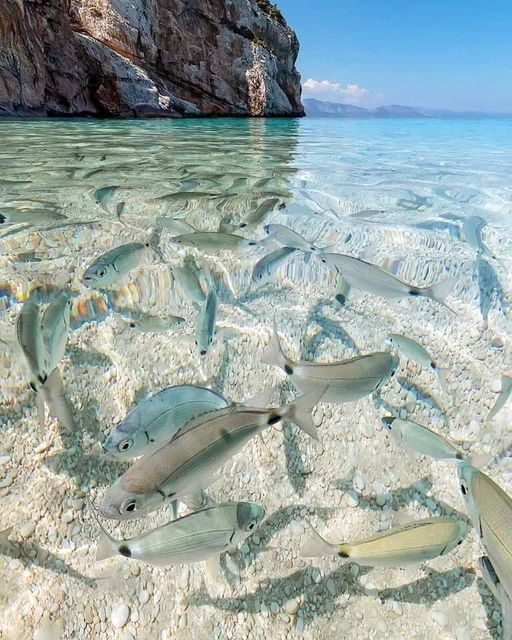 Cala Mariolu Sardinia, Italy 。so pretty🥰🥰🥰